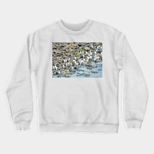 Duck at river side-Nature Crewneck Sweatshirt